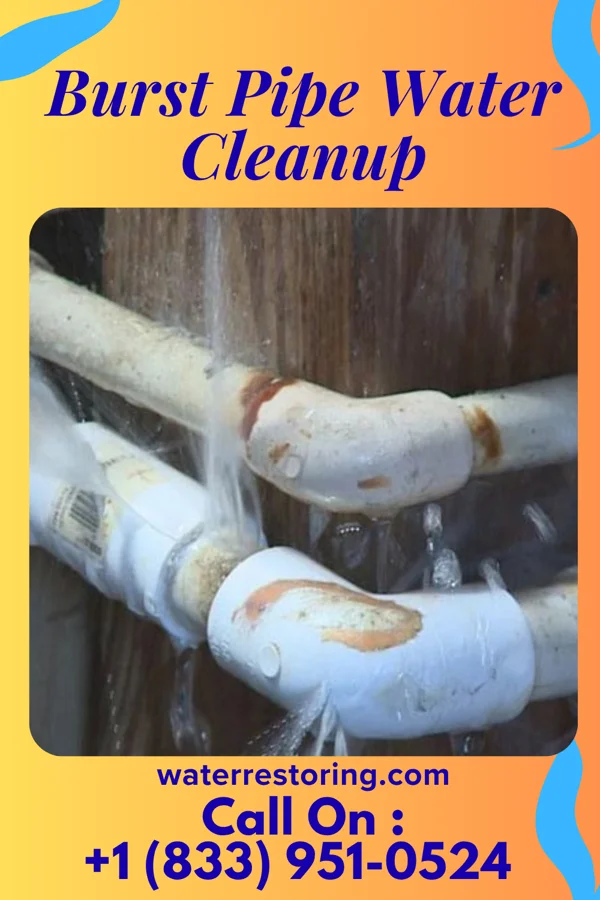 Burst Pipe Water Cleanup in Sheridan, MI