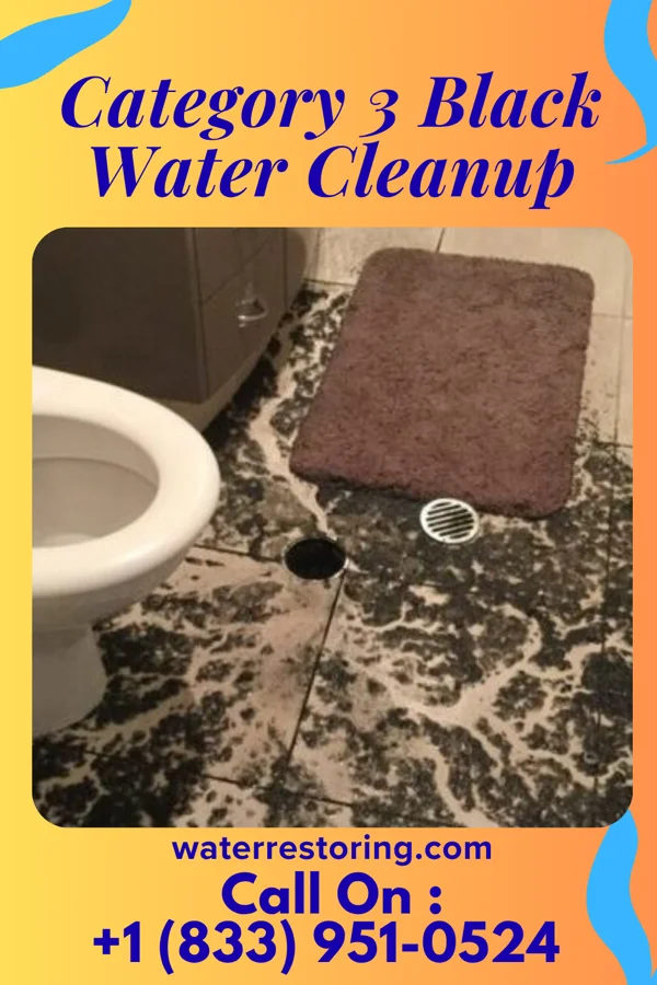 Category 3 Black Water Cleanup in Sheridan, MI