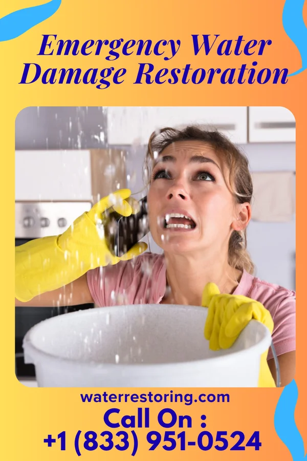 Emergency Water Damage Restoration in Sheridan, MI