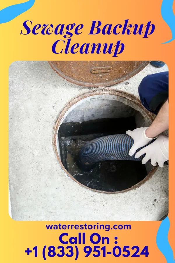 Sewage Backup Cleanup in Sheridan, MI