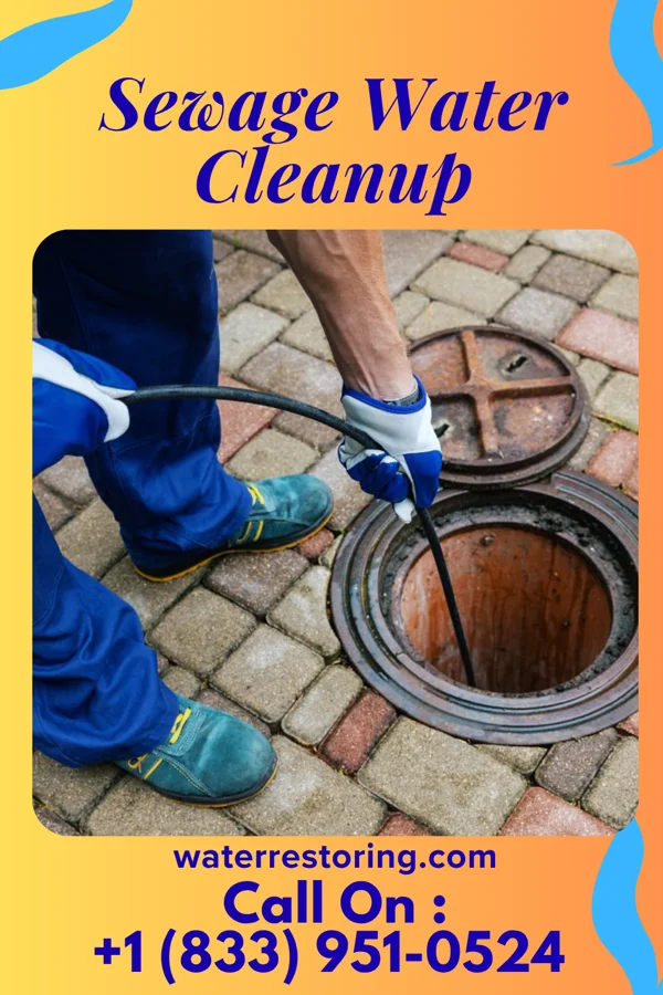 Sewage Water Cleanup in Sheridan, MI